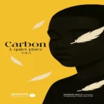 روی جلد البوم کربن 3