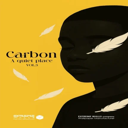 روی جلد البوم کربن 3